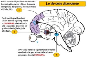 dopamina-it-000